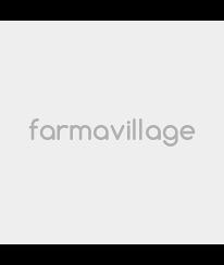 Farma village